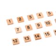 thumbnail image 3 of SNNROO Baby 1-100 Numbers Match Wooden Blocks Puzzle Game Kids Early Educational Toy Storage Tray, 3 of 6