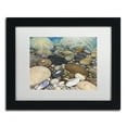 thumbnail image 2 of Stephen Stavast 'Shoreline Treasures' Matted Framed Art, 2 of 4