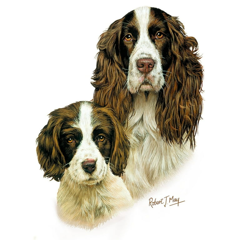 2 Piece English Springer Spaniel PJ Set 2 Piece English Springer Spaniel PJ Set