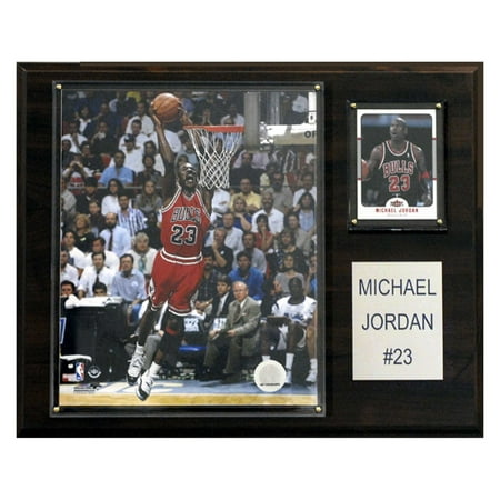 C&I Collectables NBA 12x15 Michael Jordan Chicago Bulls Player