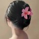 thumbnail image 4 of Stylish Flower Claw Clips Set - 5 Non-Slip Hair Accessories for Women & Girls with All Hair Types, 4 of 5
