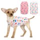 thumbnail image 1 of 2 piezas de chaleco de amor de color para mascotas, ropa de primavera y verano para perros, ropa para mascotas 1662, 1 of 5