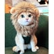 thumbnail image 1 of PenVinoo Peluca de melena de león para gato, disfraz de gato, disfraz de cachorro, divertidos disfraces de gato para Halloween, Navidad, divertidos accesorios de ropa para mascotas (pequeño, marrón os, 1 of 3