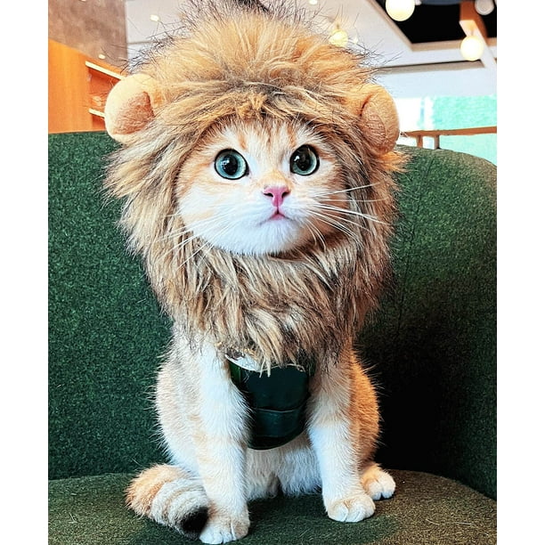 PenVinoo Peluca de melena de león para gato, disfraz de gato, disfraz de cachorro, divertidos disfraces de gato para Halloween, Navidad, divertidos accesorios de ropa para mascotas (pequeño, marrón os