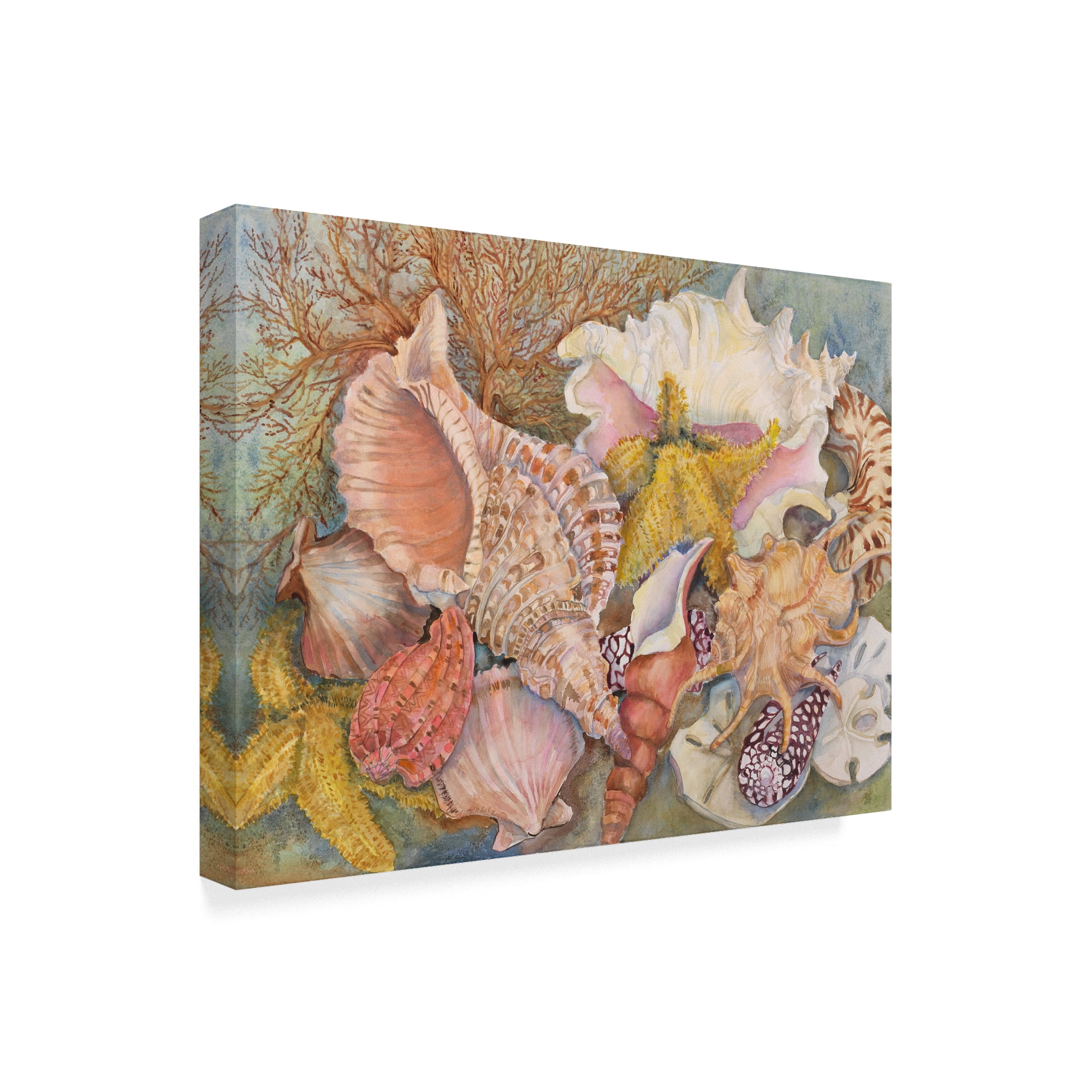 Trademark Fine Art 'Treasures Of The Sea' Canvas Art by Joanne Porter