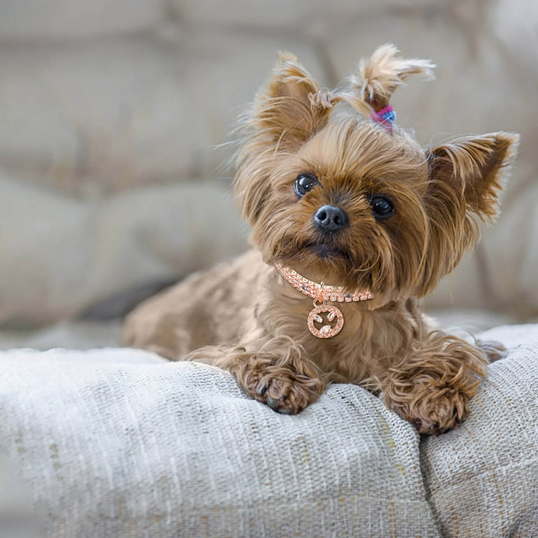Choke chain hotsell collar leash attachment