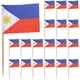 thumbnail image 1 of 100pcs Fruit Picks National Flags Fruit Picks Philippines Cocktail Toothpicks Cupcake Dessert Topper Decors, 1 of 3