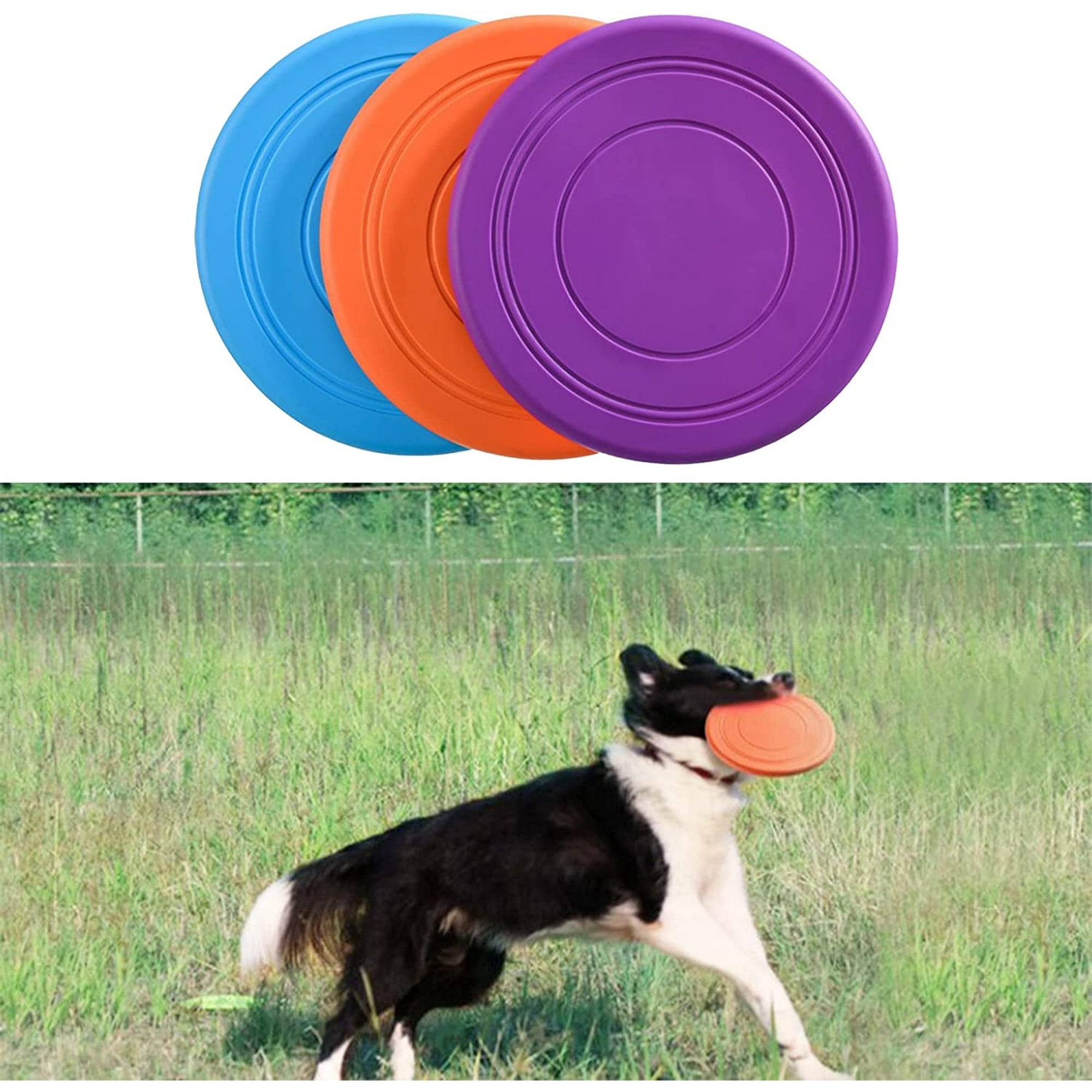 7 piece set of dog frisbee dog frisbee toy dog frisbee dog frisbee game animal frisbee sports activities and outdoor games suitable for small and
