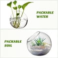 thumbnail image 2 of Healeved 3Pcs Glass Bubble Terrarium Containers - Clear Round Vases, Glass Planters for Decoration, 2 of 8