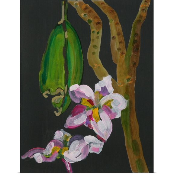 Great BIG Canvas | Rolled Deborah Barton Poster Print entitled Frangipani Flower, Bequia, 2008