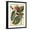 Black Frame, variant on Art.com Petite Dragonflies V Art Print by Vision Studio, White Frame Wall Art, 32" x 40"