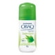 thumbnail image 2 of Desodorante antitranspirante Garnier Obao frescura bamboo para dama en roll on 65 g, 2 of 4