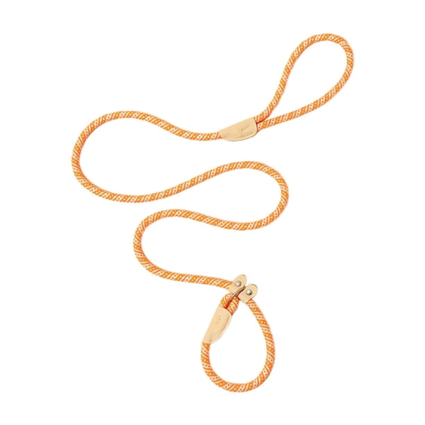 Correa para perros pequeños y medianos, ideal para entrenamiento de cachorros, ejercicio, playa y camping. Naranja