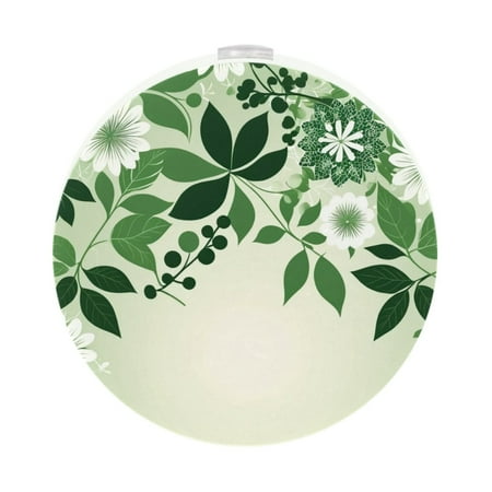 

LED Night Light Lamp with Smart Sensor Dusk to Dawn Sensor 2-Pack for Bedroom Bathroom Hallway White 0.5W Plug-in Paisley Retro Green Cashew Flower
