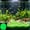 🎈Green_New#1508, variant on Aquarium Gravel, Fish Tank Substrate, Stones 3-5 mm, 2000-Count, Non- Material, 3-6 Hr Luminescence