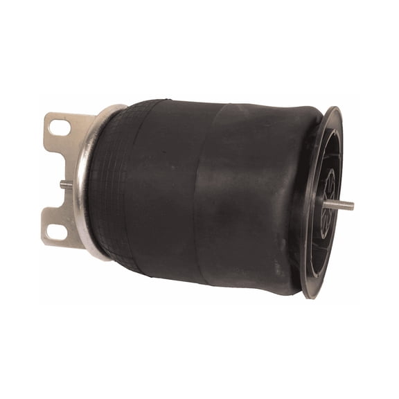 AIR SPRING RL PB, Replaces OEM 1R12-403
