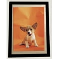 thumbnail image 4 of Picture/ Sign Holder Pockets with Adhesive Back, Magnetic Frames Display, 8.5 x 11.6 Inches, 6 Pack, 4 of 7