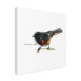 thumbnail image 2 of Bruce Dean 'Songbird Study IV' Canvas Art, 2 of 3
