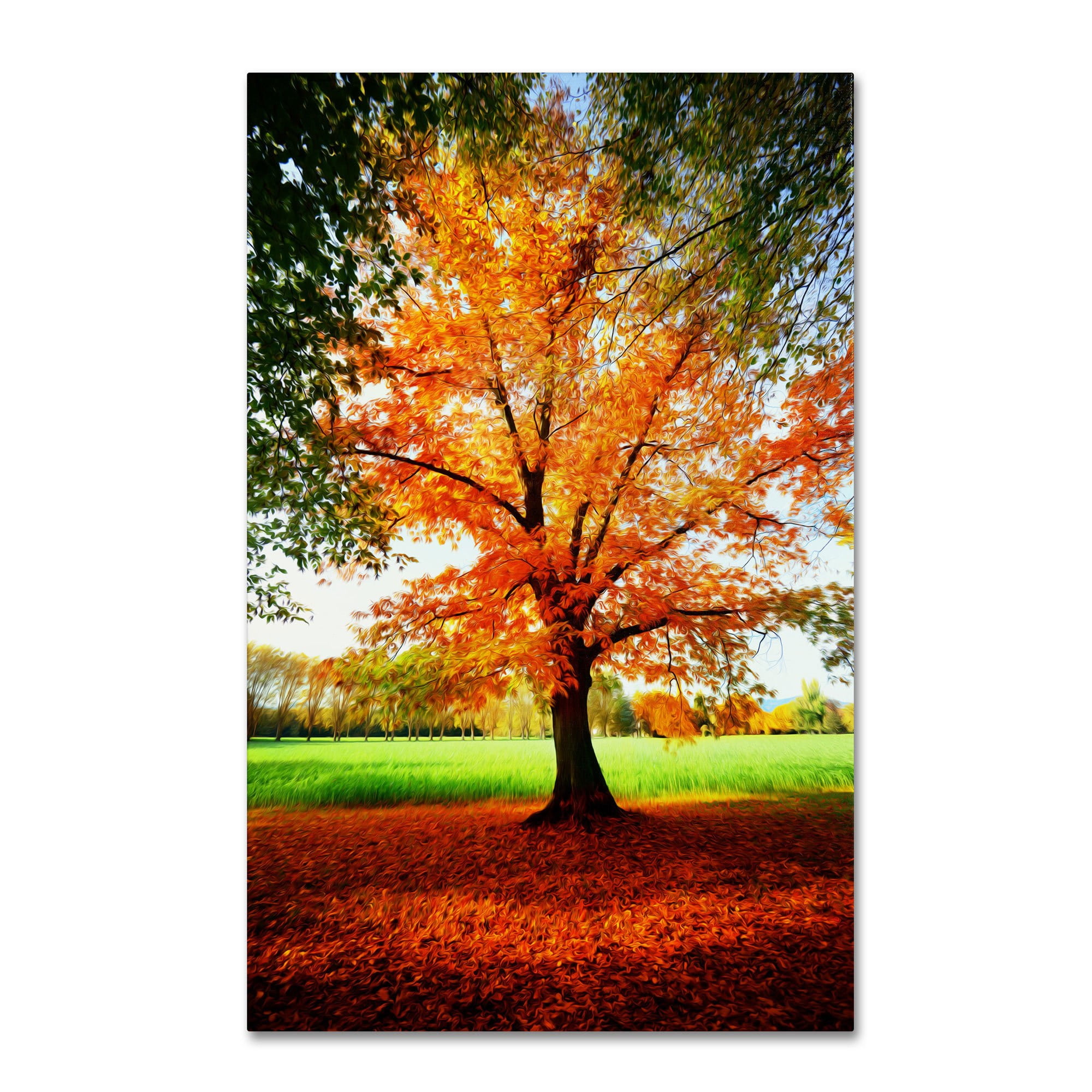 Trademark Fine Art "Tout Feu Tout Flamme" Canvas Art by Philippe Sainte-Laudy