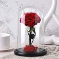 thumbnail image 3 of Flor De Rosa Conservada Real Con Cubierta De Vidrio Rosa Eterna En Cúpula De Vidrio Decoración Del Hogar Para El Día De San Valentín Advancent  HA024678-01, 3 of 5
