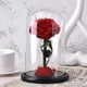 thumbnail image 3 of Flor De Rosa Conservada Real Con Cubierta De Vidrio Rosa Eterna En Cúpula De Vidrio Decoración Del Hogar Para El Día De San Valentín Moyic HA024678-01, 3 of 5