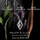 thumbnail image 3 of Set de perfume Ralph Lauren Ralph's Club Discovery, 3 x 10 ml, 3 of 5