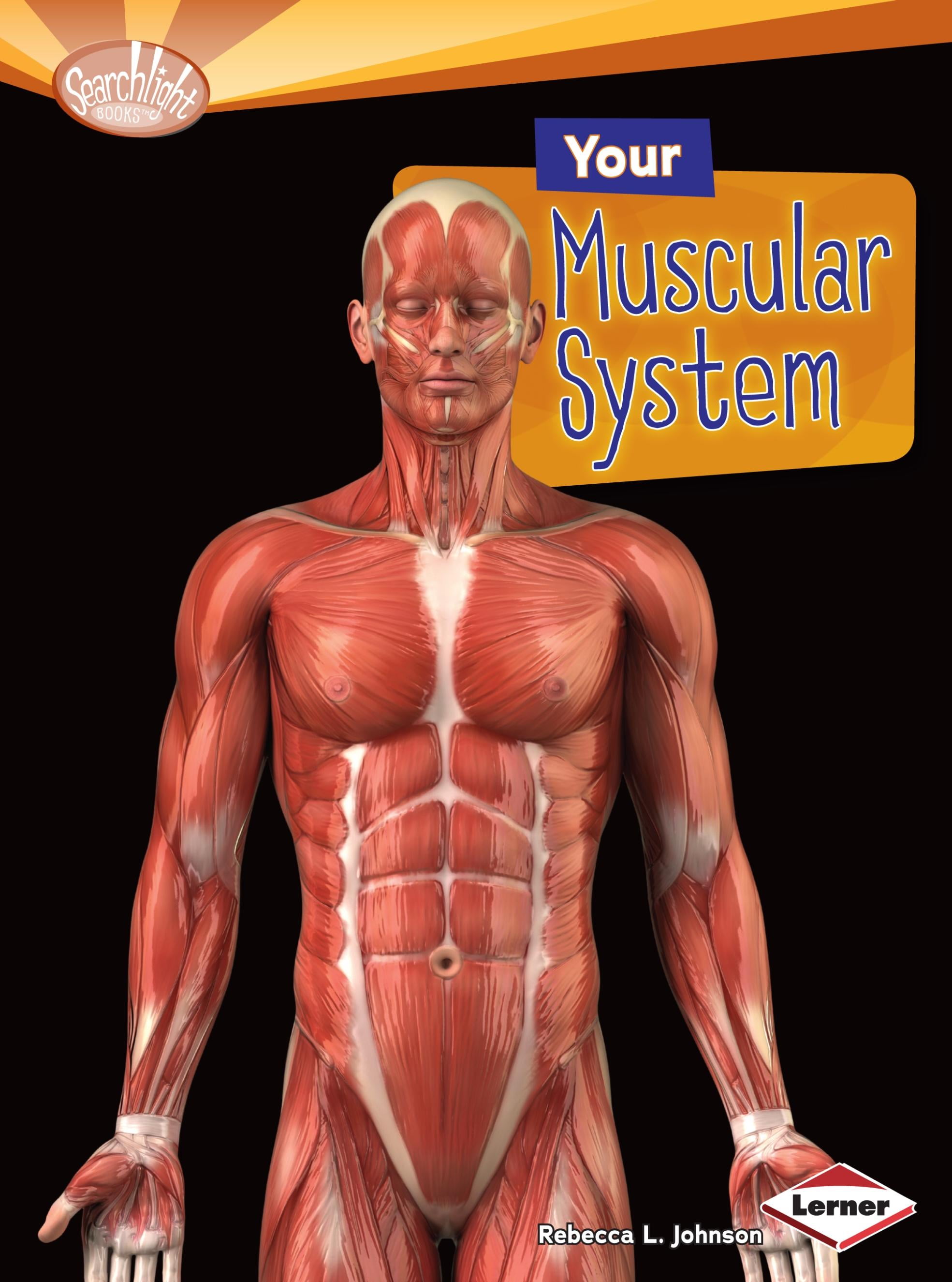 Searchlight Books (TM) -- How Does Your Body Work?: Your Muscular