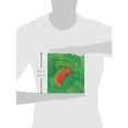 thumbnail image 2 of Leon the Chameleon, 2 of 2