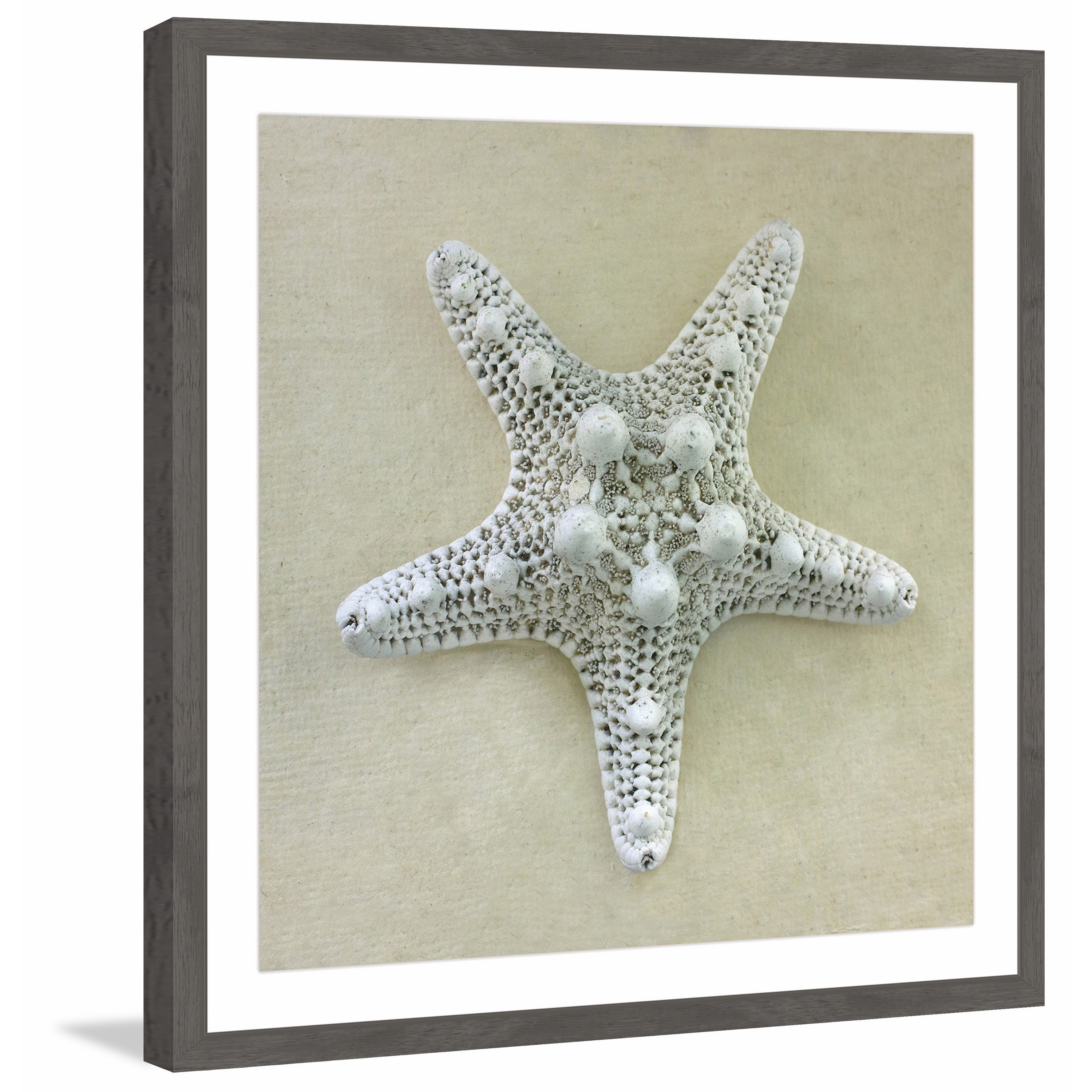 "Pearl of the Sea" Framed Painting Print