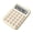 A, variant on Professional Bread Electronic Calculator 12 Digit Display Portable Pretty Calculators Creative Colorful Calculator