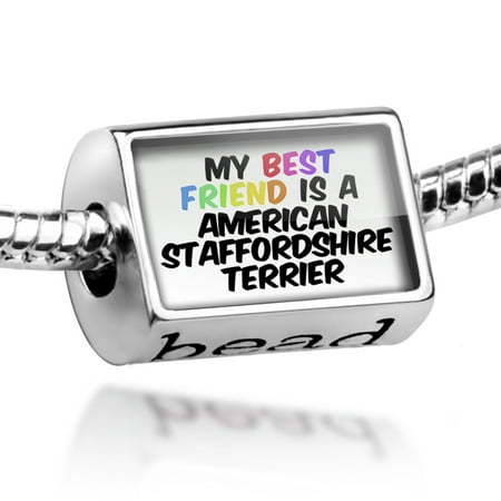 Bead My best Friend a American Staffordshire Terrier Dog from United States Charm Fits All European (Best Food For American Staffordshire Terriers)