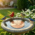 thumbnail image 6 of Copper Bird Bath Cleaner Disk, Natural Water Purifier for Outdoor Bird Baths, Solid Copper Anti-Algae Cleaner Plate for Garden Fountain Pond Water Maintenance, 6 of 8