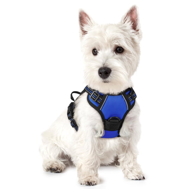 Arnés para perros Rabbitgoo, ajustable, sin tirones, azul deslumbrante, XS