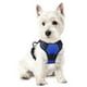 thumbnail image 1 of Arnés para perros Rabbitgoo, ajustable, sin tirones, azul deslumbrante, XS, 1 of 8