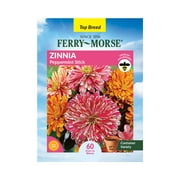 Ferry-Morse 540MG Zinnia Peppermint Stick Annual Flower Seeds Full Sun
