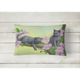 thumbnail image 2 of Carolines Treasures ASA2211PW1216 Chartruex Kittens Fabric Decorative Pillow 12H x16W multicolor, 2 of 3