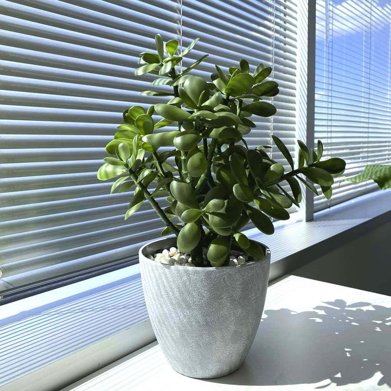 Westcharm 16 inch Tall Potted Faux Jade Plant Tabletop Greenery Artificial Green Crassula Ovata Succulent Money Tree in Melamine Pot