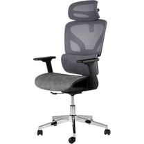 Ergonomic High Back Mesh Office Chair, Adjustable Armrest, Lumbar Support & Headrest, Slide Seat & Tilt Lock, Rolling Computer Desk Chair for Home Office, Gray