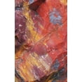 thumbnail image 2 of Delisle, Gilles 17x24 Black Ornate Wood Framed with Double Matting Museum Art Print Titled - Arizona, Petrified Forest Petrified wood detail, 2 of 4