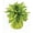 Lime Green, variant on PMU Kisses Balloon Weights - Decorative Balloon Weight for Christmas, Thanksgiving, Birthday, Party Favors, Wedding & Baby Shower - 6oz. Lime Green, Pkg/6
