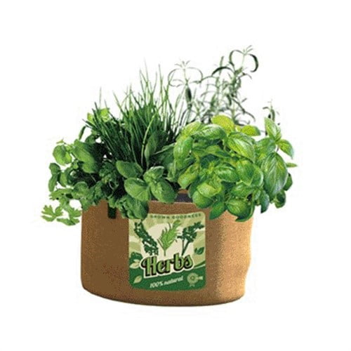 Grow Bag,5 Gallon Burlap Herb