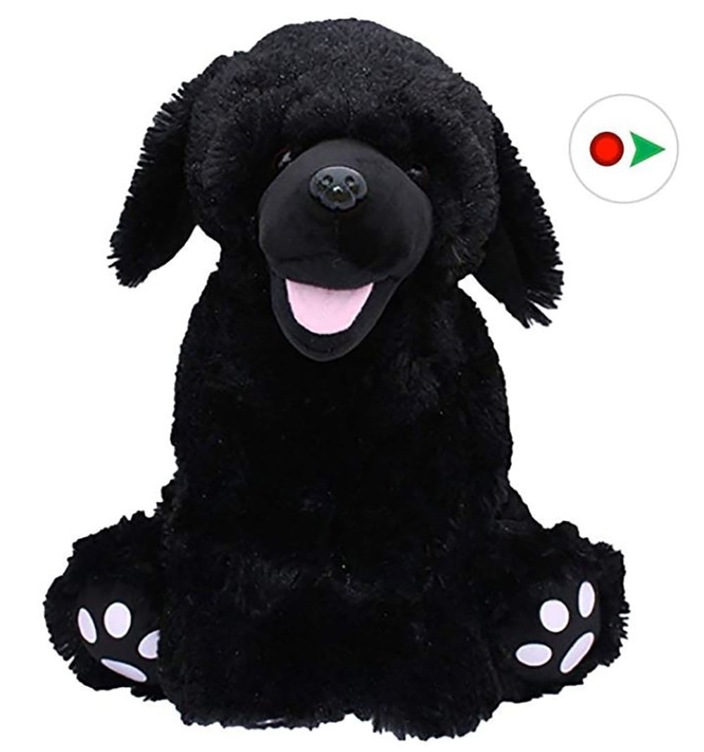 Record Your Own Plush 16 inch Black Lab - Ready To Love In A Few Easy Steps - Walmart.com