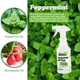 thumbnail image 3 of Peppermint Oil Spray 16oz, Refreshing Peppermint Oil Air Freshener, Natural Mint Scent for Home, Car & Office, Plant-Based, Extra-Strong Formula - 16 oz, 3 of 5