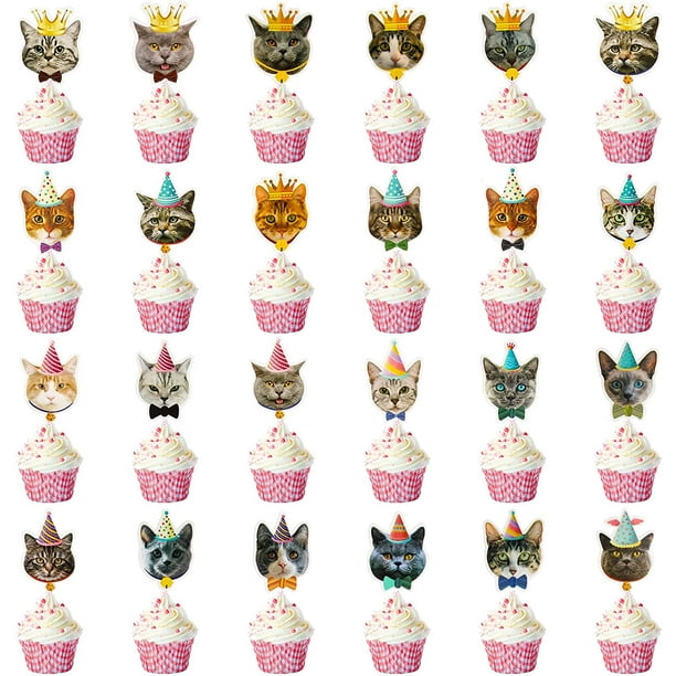 Cat party supplies best sale walmart