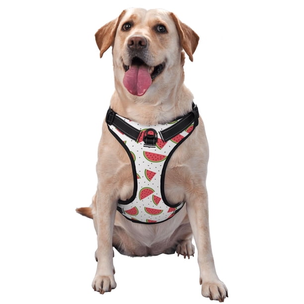 Fotbe Hand Drawn Watermelon Arnés para Perro con Estampado –Chaleco Ajustable Acolchado con Asa de Control para Perros Grandes-Small
