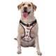 thumbnail image 1 of Fotbe Hand Drawn Watermelon Arnés para Perro con Estampado –Chaleco Ajustable Acolchado con Asa de Control para Perros Grandes-Small, 1 of 6