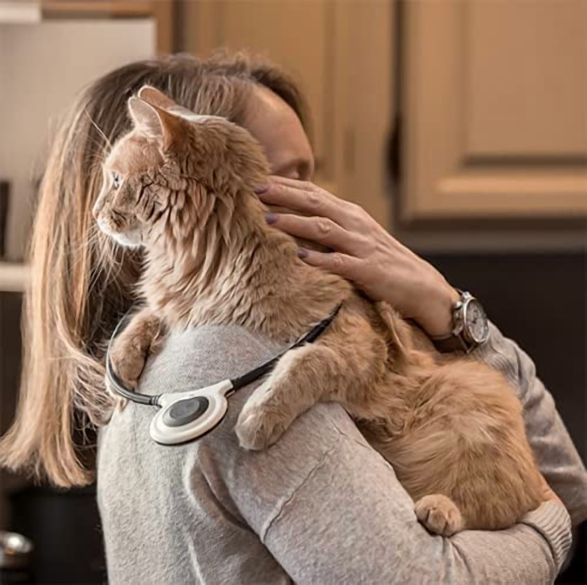 Assisi LOOP 2.0 Manual tPEMF Device for Dogs, Cats, and Horses
