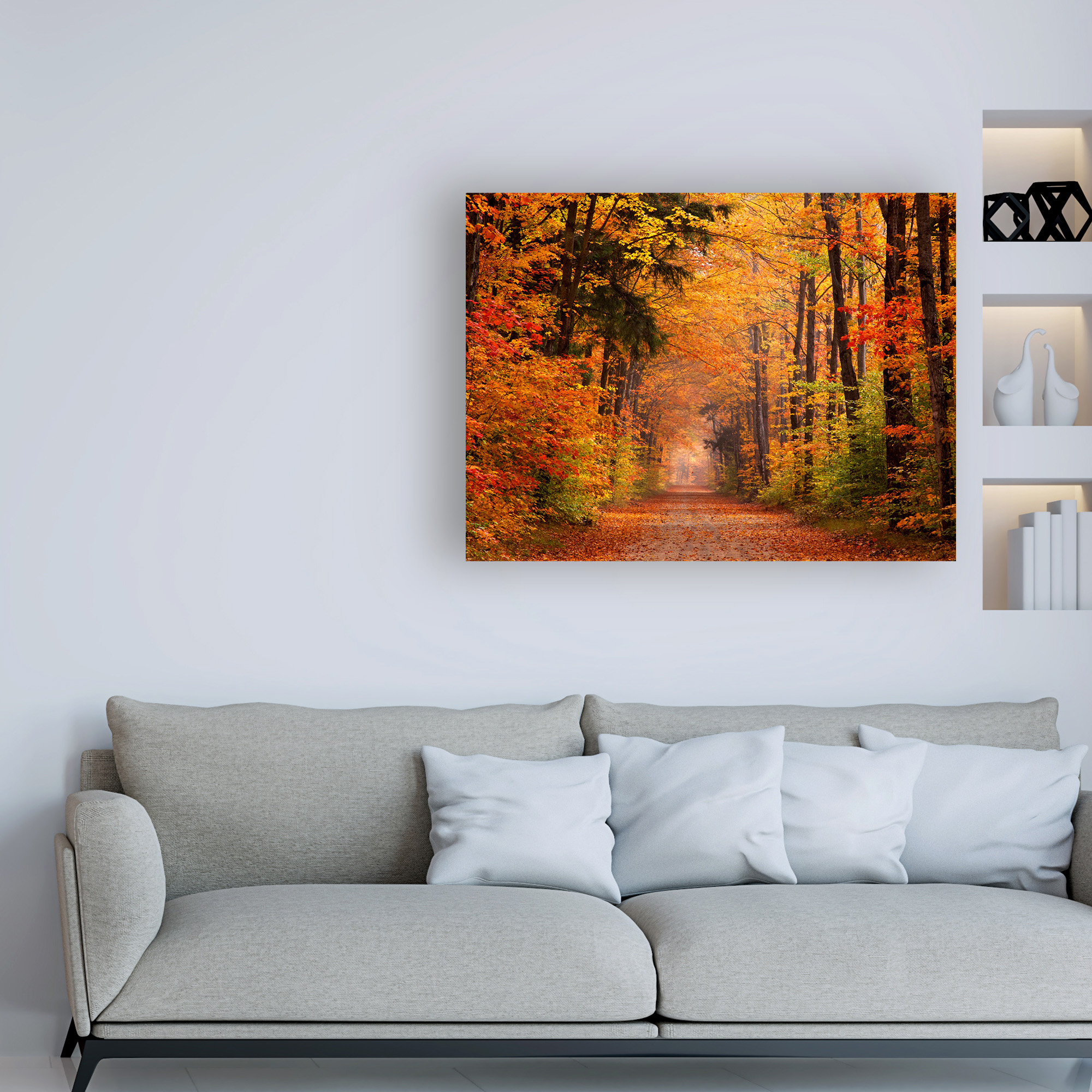 Trademark Fine Art 'Autumn Leaf Road' Canvas Art by David Hammond