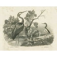 thumbnail image 2 of Wild Apple Portfolio 18x15 Gold Ornate Wood Framed with Double Matting Museum Art Print Titled - French Birds I, 2 of 4