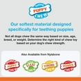 thumbnail image 6 of Nylabone Puppy Chew Freezer Toy Lamb Apple Flavor, SM/Regular, 6 of 9